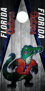 EINZELNER Florida Alligatoren Cornhole Verpackung Skin Board Aufkleber Vintage Vinyl DT13 - Bild 1 von 1