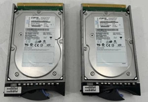 Lot of (2) IBM e-server 10K.7 73GB Internal 10000RPM 3.5" -ST373207LC HDD - Picture 1 of 3