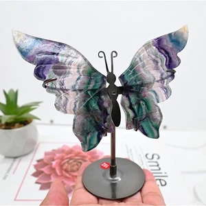 4'' A pair Natural Fluorite Butterfly Wing Reiki Crystal Skull Decor + Stand - Picture 1 of 13