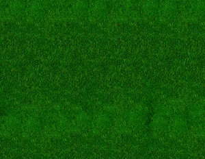 N Scale Grass Model Train Scenery Sheets –5 Seamless 8.5x11 Dark Green - Picture 1 of 4