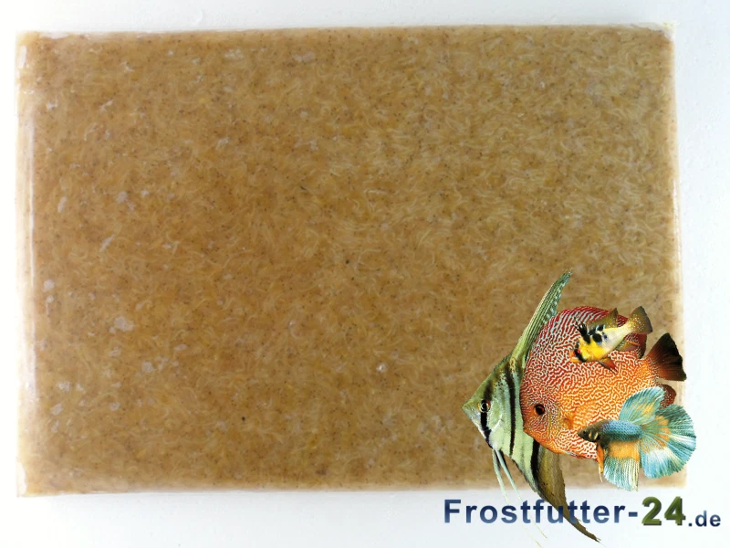 Mysis Frostfutter 15 x 500g Flachtafel - Bild 1 von 1