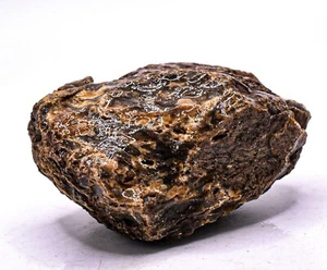 325ct Black Orange Amber Rough Natural Gemstone Fossil Mineral Raw - Indonesia - Picture 1 of 6