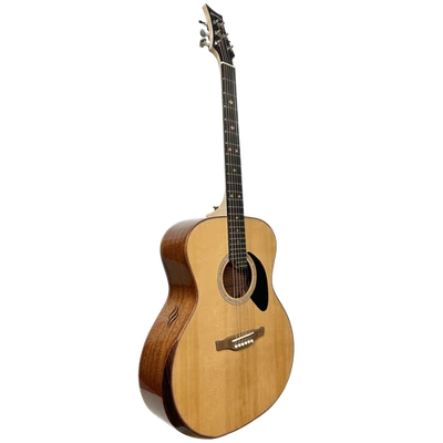 Riversong P555-A (Folker) Acoustic Guitar - Grand Auditorium Shape - Image 1 of 4