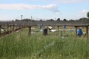 Photo 6x4 A pen for rearing partridge and pheasant West End\/SE5140 The f c2010 - Picture 1 of 1