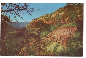 The SWITCHBACKS Oak Creek Canyon Winding Roadway AZ Postcard Arizona 1957 - Picture 1 of 2