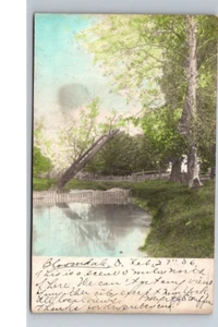 Postal de Bloomdale Ohio, condado de Wood, escena 5 millas al norte, teñida a mano 1906 RPPC - Imagen 1 de 2