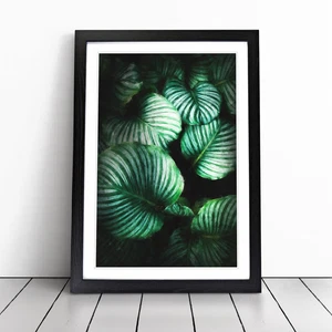 Gathered Green Plant Leaves Framed Canvas Wall Art Print Poster Picture - Picture 1 of 9