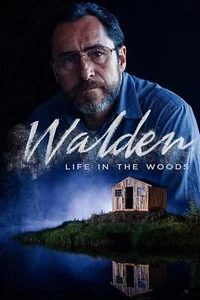 WALDEN LIFE IN THE WOODS **OVER 6K+ 100% FDBK**  AMBER GRAY NEW SEALED WS + TRKG - Bild 1 von 1