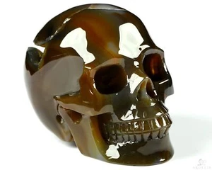 3,0 Zoll Premium Brasilianischer Achat geschnitzter Kristallschädel, Kristallheilung - Bild 1 von 8