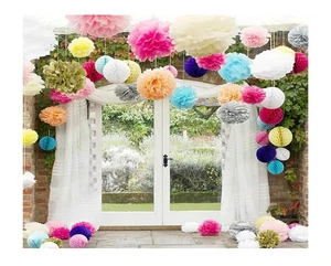 Tissue Paper Pompoms Pom Poms Hanging Garland Wedding Party Decoration - Picture 1 of 10