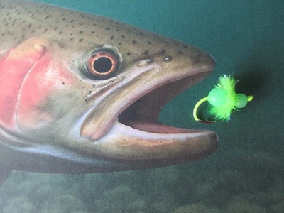 Steelhead / Trout / Salmon Egg Fly - #1 Hook - 12 pcs (Fl. Green) with Egg Oil - Image 1 of 4