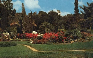 Greetings from Trinidad Rock Garden St Clair West Indies  Postcard - Picture 1 of 2