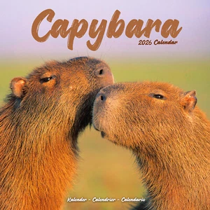 Capybara 2026 Calendar Gift Wall 15% OFF MULTI ORDERS - Picture 1 of 8