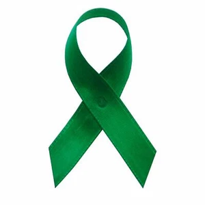 Cintas de conciencia verde esmeralda - 250 cintas con pasadores de seguridad - Imagen 1 de 1