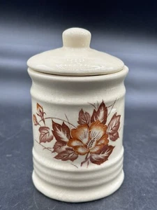 Vintage kleine Keramik Kanister 5,5" braun Blumen & Blätter viel Verrücktheit - Bild 1 von 9