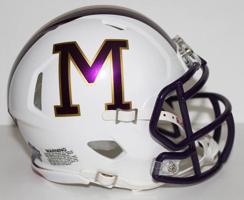 2015 JMU Dukes James Madison University Custom Riddell Mini Helmet vs Richmond Cover