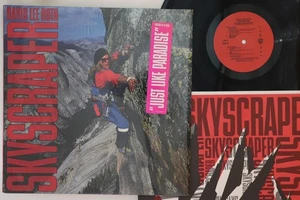 LP DAVID LEE ROTH Skyscraper 125671 WARNER BROS US Vinyl - Picture 1 of 1