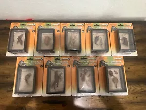 CollectA Dinosaurs LOT OF 9 DINOSAUR FOSSIL REPLICAS Prehistoric Toy Model NEW - Picture 1 of 11