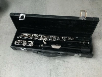 Instrumento musical Slade flauta negra con estuche de transporte en muy buena condición Foto 1 de 4