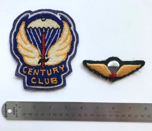 Pair of Paratrooper Embroidery Patches - Imagen 1 de 3
