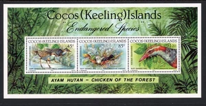 Cocos (Keeling) Islands 263 MNH 1992 World Wildlife Fund - Picture 1 of 1