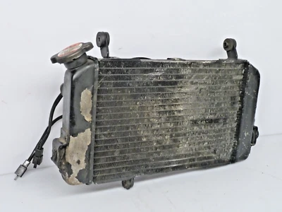 Suzuki SV650 SV 650 1999-2002 radiator. - Image 1 of 4