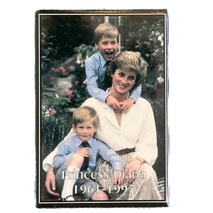 Princess Diana with Prince Harry & Prince William Magnet 3x2 inches - Picture 1 of 2