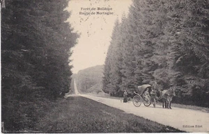 CPA FORET DE BELLEME ROUTE DE MORTAGNE - Picture 1 of 1