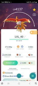 💪PVP BEASTS!💪✨LVL40 LEGENDARY HO-OH!! - 4000CP!✨ - PKMN GO - NO REGISTER - Picture 1 of 2