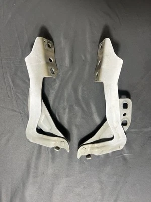 Ford Fusion 2013-2020 capó bisagras blanco OEM izquierdo derecho conductor pasajero delantero Foto 1 de 4