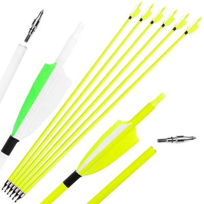 30" Carbon Arrows SP500 Feather Archery Screw Tips Recurve Compound Bow Hunting - Image 1 of 4