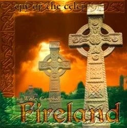 LIZ FITZGIBBON WESLEY CAMPBELL - Fireland: Cry Of The Celts - CD - SEALED/NEW — 第 1/1 张图片