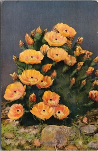 Prickly pear cactus in bloom ART LINEN POSTCARD D1 - Picture 1 of 2