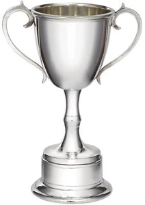 220mm Pewter Champions Cup Sport Trophy on Integral Plinth Perfect for Engraving - Imagen 1 de 3
