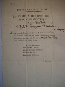 POLESINE LA CAMERA DI COMMERCIO ARTI , E MANIFATTURE 1825 (n10-3-2 ) - Imagen 1 de 1