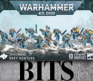 Warhammer 40K Heresy Space Marine Space Wolves GREY HUNTERS Veteran Bit Bits - Picture 1 of 75