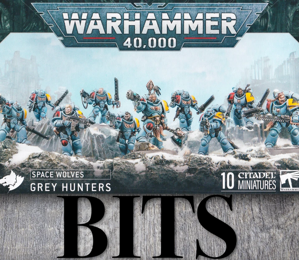 Warhammer 40K Heresy Space Marine Space Wolves GREY HUNTERS Veteran Bit Bits - Image 1 of 1