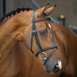 Shires Velociti Rapida gepolsterte erhöhte Flash Trense mit Zügeln schwarz - Bild 1 von 3