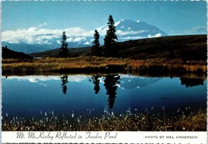 Mt. McKinley Reflected in a Tundra Pond Alaska Postcard - Picture 1 of 2