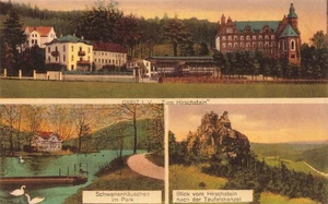 AK Greiz Gasthaus zum Hirschstein Schwanenhäuschen Thüringen Vogtland Postkarte - Bild 1 von 2