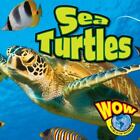 Meeresschildkröten (WOW World of Wonder) von Judy Wearing