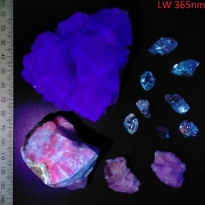 Fluorescent mineral collection kit Fluorite Sodalite Apatite Petroleum Quartz - Bild 1 von 8