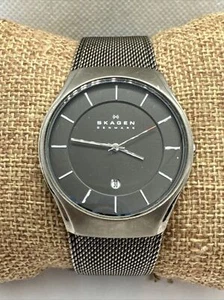 Skagen SKW6140 Men's Gray Mesh Straps Analog Dial Quartz Genuine Watch AEA136 - Picture 1 of 11
