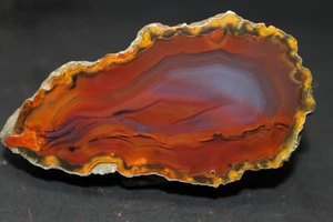 Condor agate collector specimen (Fluorescent) - Picture 1 of 5