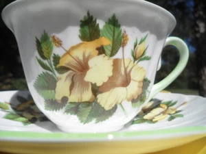 Shelley Oleander Gelb HIBISCUS Tasse Und Untertasse - Grün Rand #0444 - Bild 1 von 11