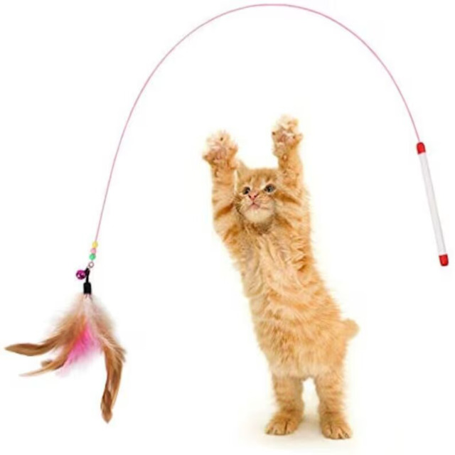 gato - Brinquedo Vara Gato com Pena Natural Wan para Jogo Gatinho,Brinquedos  exercício interativos multifuncionais para gatos para perseguir, casa,  gatil Prachy