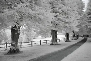 Nikon  D70 infrared 720nm infrared converted camera. Just 560 shutter count. - Picture 1 of 7