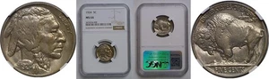 1924 5C Buffalo Nickel  NGC MS-64 - Picture 1 of 3