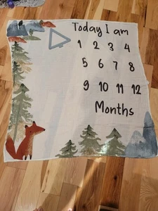 Modern Moments By Gerber Baby Boy Milestone Blanket & Frame Set, 2-Piece, Blue - Picture 1 of 1