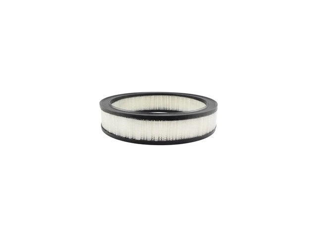 Filtro de aire Oldsmobile Omega Baldwin 62873ZJNT 1975 1976 1977 1974-1978 Foto 1 de 2